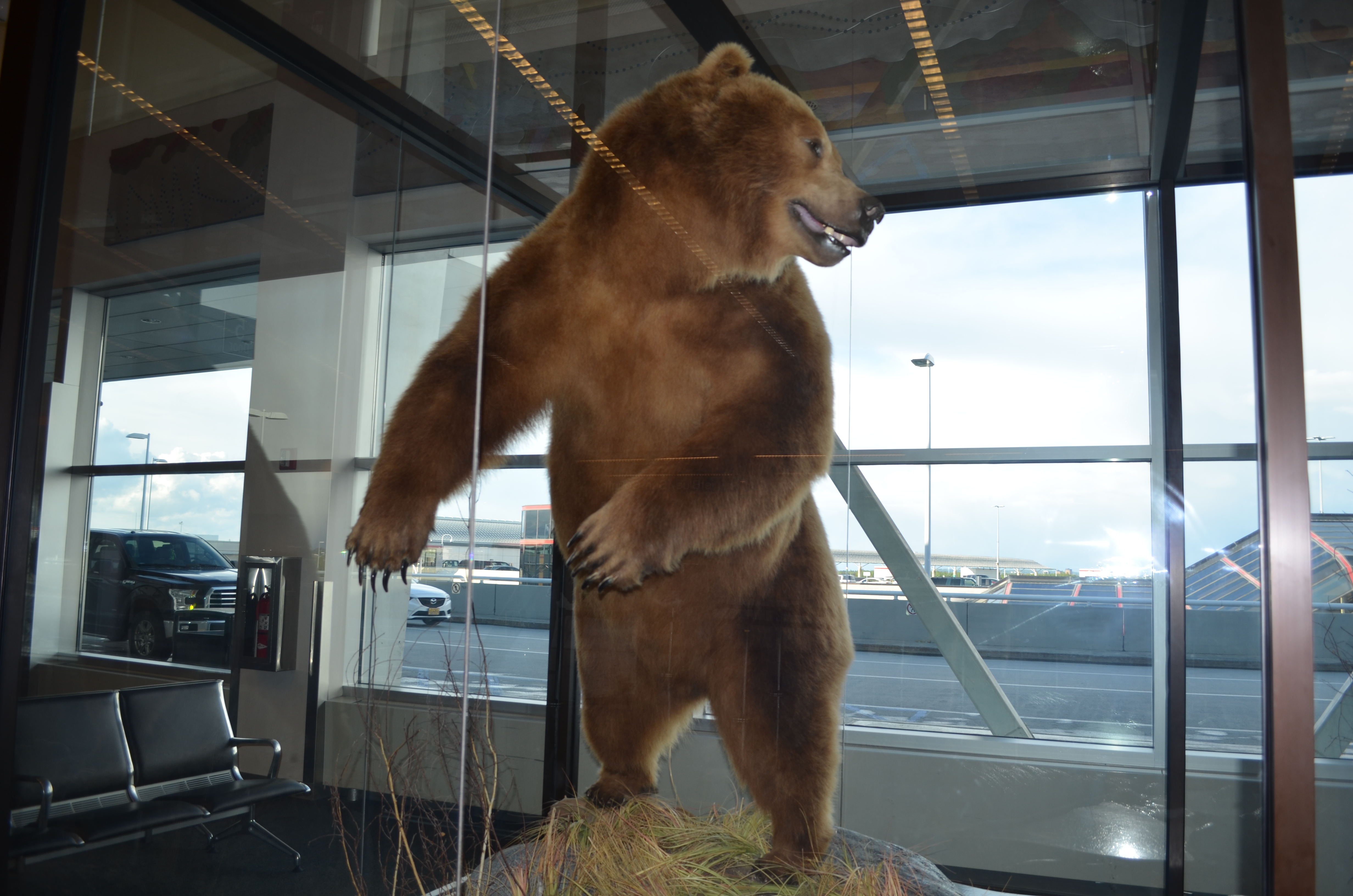 ./2017/08 - Alaska Cruise/04 - Anchorage/DSC_0342.JPG